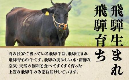 肉の匠家 飛騨牛 【霜降り 定期便 3カ月】 ステーキ  すき焼き  3回 肉  サーロインステーキ  BV102〔国産和牛定期便  牛肉定期便 ステーキ  飛騨牛定期便　３回〕　