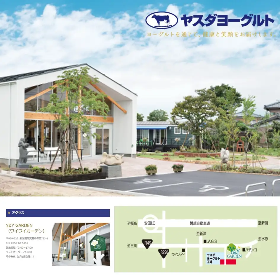 【5か月定期便】ヤスダヨーグルト 500ml×6本×5回 バラエティセット こだわり生乳 濃厚 飲むヨーグルト のむよーぐると ヨーグルト 1B30046