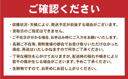 諫早産野菜の詰め合わせ 8〜9品目程度 / 季節 旬 野菜 やさい セット 春野菜 夏野菜 秋野菜 詰め合わせ / 諫早市 / 肥前グローカル株式会社[AHDI004]