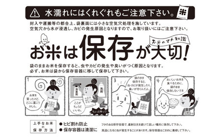 【R7年産】九州のこだわり「ひのひかり」白米 9kg / 米 こめ コメ お米 おこめ 白米 精米 白ご飯 ヒノヒカリ 長崎県産 / 諫早市 / 上島農産 [AHAS003]