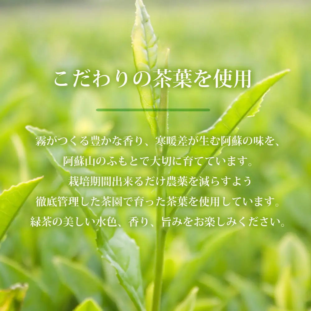 蒸し緑茶部門１位★エコファーマ―認定農家の自園・自製「特選 阿蘇のめぐみ」