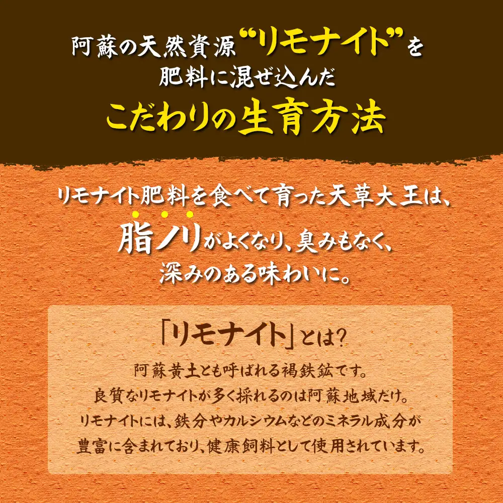 希少！くまもと地鶏　天草大王　もも肉　1kg