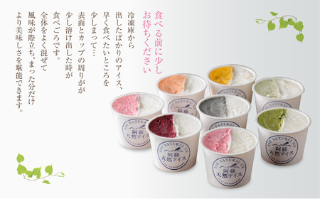 阿蘇天然アイス　ハーフ&ハーフ　8個セット