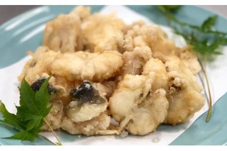 朝〆新鮮とらふぐぶつ切り・焼きヒレセット（３～４人前）