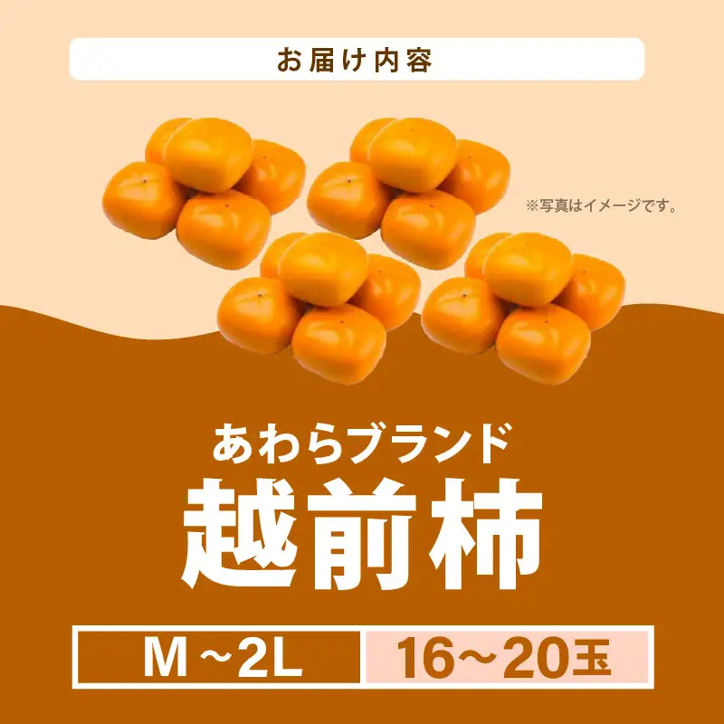 【先行予約】越前柿 16～20玉入 M～2L 《種なしで食べやすく甘い！》 あわらブランド ／ 期間限定 果物 フルーツ 産地直送 旬 お取り寄せ ※2026年10月中旬以降順次発送 [aw003-a006]