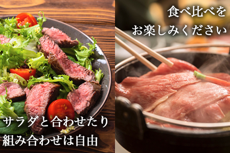 厳選佐賀牛 サーロインステーキ180g リブローススライス300g 2種(合計480g)セット