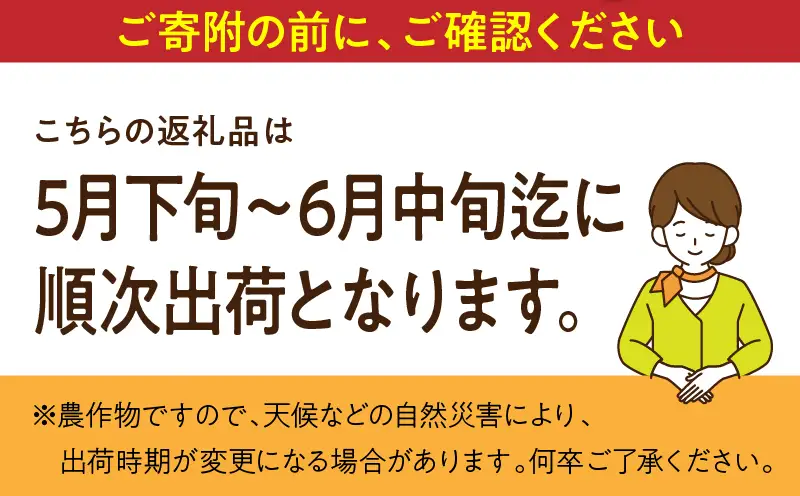 宮崎県産 スイートコーン 約4.5kg