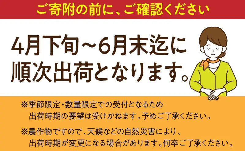 【2026年発送】【数量限定】宮崎県産 太陽のタマゴ A等級 4Lサイズ×2玉（合計約1kg）