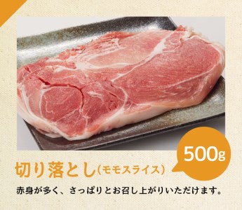 宮崎県産豚肉バラエティ4種2.5kg 豚肉