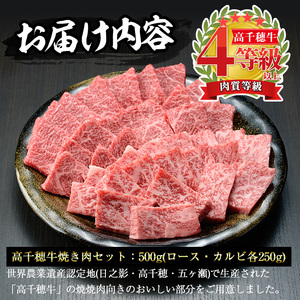 高千穂牛 焼き肉セット(ロース・カルビ各250g)【MT010】【JAみやざき 高千穂牛ミートセンター】