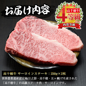 高千穂牛 サーロインステーキ(250g×2枚)【MT013】【JAみやざき 高千穂牛ミートセンター】