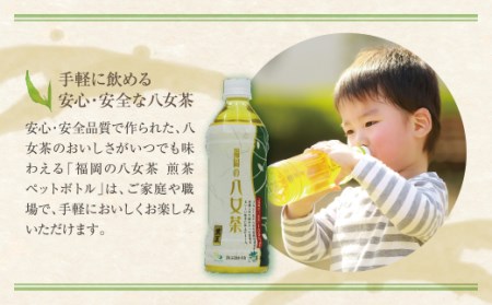 Z26-82 寄附額改定↓↓ 八女茶 煎茶ペットボトル(24本)定期便(毎月×6回) 煎茶