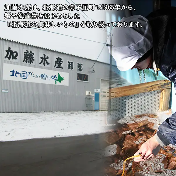 2946. 山わさび醤油漬け 100g 3瓶 薬味 辛味 調味料 弟子屈町 ワサビ 山葵 手づくり ホースラディッシュ おかず ご飯のお供 お取り寄せ グルメ gift ギフト 送料無料  北海道 弟子屈町