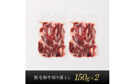 宮崎県産黒毛和牛切り落とし300g 【 牛肉 牛 肉 黒毛和牛 切り落とし 牛丼 】