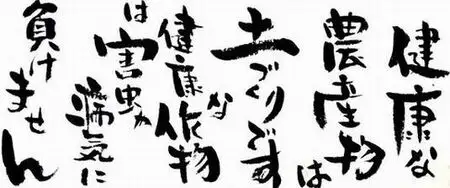 ＜農薬不使用八女茶＞極　煎茶初花詰合せ＜80g×2本＞ 041-001