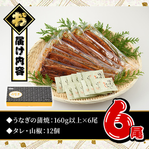 うなぎ 蒲焼 国産 ( 計960g以上・ 160g以上 × 6尾)  タレ・山椒付 うなぎ 【西日本養鰻】C7-v02