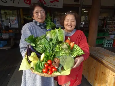 ＜道の駅たちばなオリジナル＞季節の野菜・果物セット 種類 お任せ 旬 野菜 果物 詰め合わせ 054-004