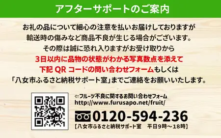九州・福岡からお届け！八女の恵み定期便【全３回】 F　072-T039