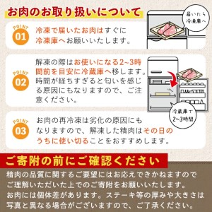 ＜定期便・全5回＞鹿児島県産 黒毛和牛 黒豚 しゃぶしゃぶ セット(各300g×2×5回・計3kg)【ナンチク】T1-v01