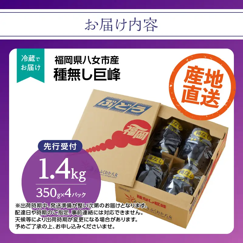 【先行受付】種なし 巨峰 1.4kg（350g×4パック）｜2026年7月上旬～発送予定 産地直送 種なし巨峰 甘い巨峰 ジューシーな巨峰 大粒な巨峰 002-006