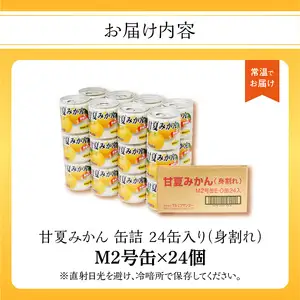 甘夏みかん 缶詰 24缶入り（身割れ） 007-012