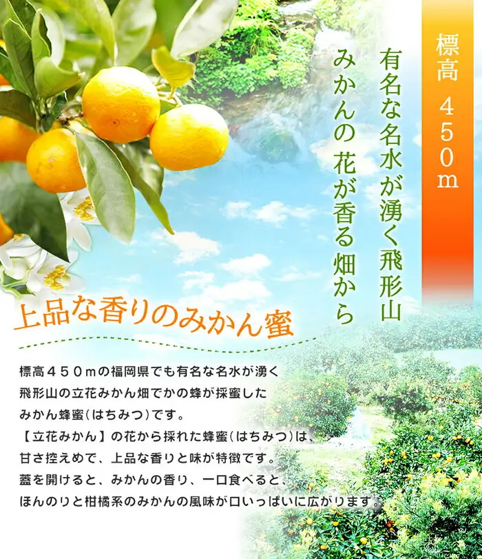 【ギフト用】かの蜂 国産 蜂蜜 ギフト 500g×3本セット（レンゲ 百花 みかん） 国産 蜂蜜 はちみつ ハチミツ 詰合せ ギフト 贈り物 プレゼント お中元 御中元 誕生日 024-048-GFT