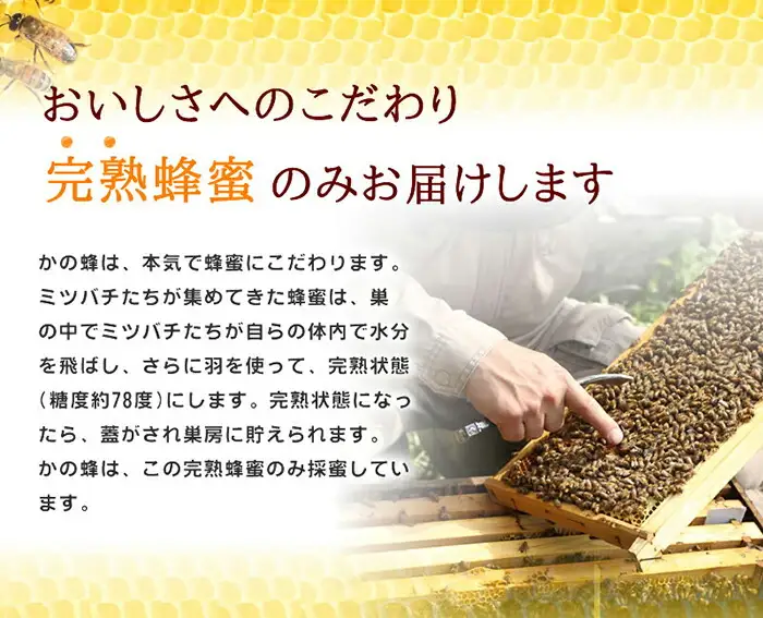 ＜国産＞かの蜂 みかん蜂蜜【300g】 福岡県八女市で収獲した完熟みかん蜂蜜 024-050