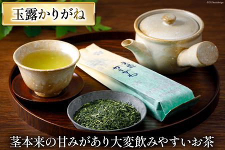 お茶 葉 3種 セット 香る一番茶 加賀 棒ほうじ茶 と 煎茶 と 玉露 かりがね 各100g 計300g 詰め合わせ 飲み比べ [油谷製茶 石川県 宝達志水町 38600758]