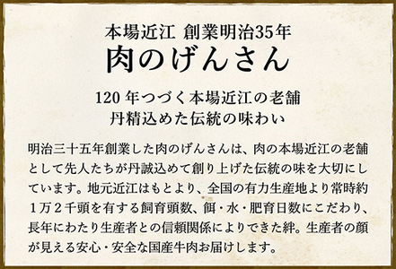 近江牛 A5 ランク 切落し 500g 訳あり げんさん 【DG12W】近江牛 切り落とし 牛肉
