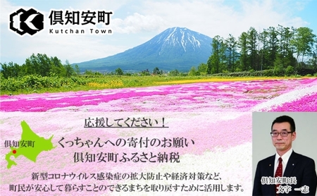 定期便 隔月3回 北海道産 ななつぼし 精米 20kg 5kg×4袋 米 特A 白米 お取り寄せ ごはん 道産米 ブランド米 まとめ買い お米 ホクレン 北海道 倶知安町 【定期便・お米・ななつぼし・精米】