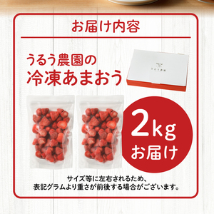 うるう農園の冷凍あまおう2kg_あまおう 2kg 冷凍 甘い 濃厚 新鮮 いちごの王様 うるう農園 いちご 果物 アレンジ おやつ フルーツ スイーツ スムージー ジャム アイス けずり苺 お取り寄せ お取り寄せグルメ 福岡県 久留米市 送料無料 〔Fi204〕
