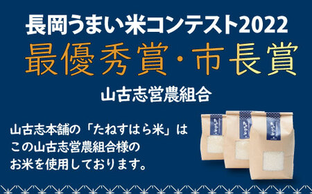 G3-7K03旧山古志村のこしひかり「たねすはら米」白米3kg（新潟県産コシヒカリ）