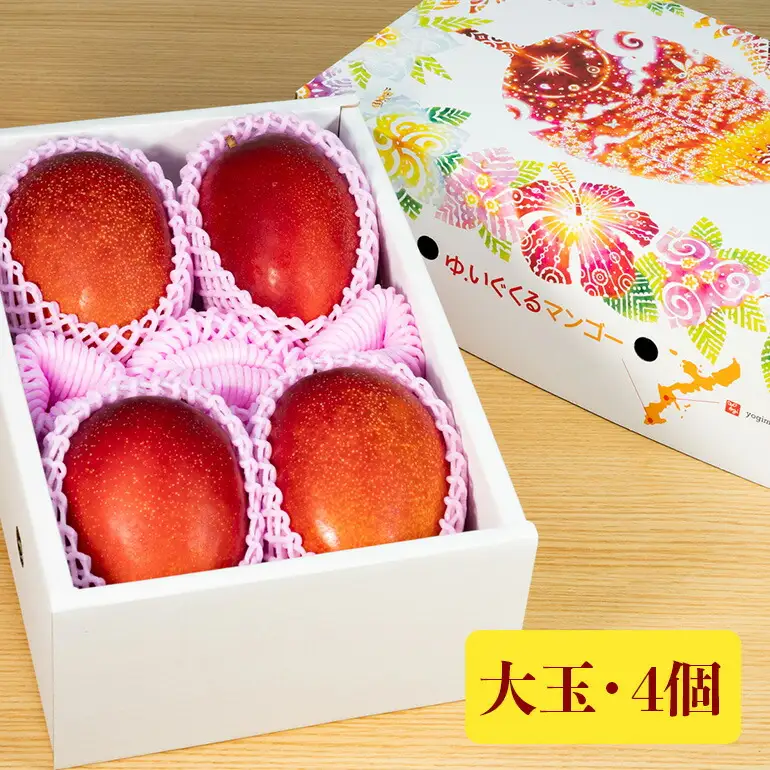 【 先行予約 2026年 発送 】 沖縄県 糸満産の「 濃厚 アップルマンゴー 」2kg オリジナル 贈答用 化粧箱入り 沖縄県産 マンゴー 完熟マンゴー 果物 くだもの フルーツ 完熟 夏 旬 沖縄 産地直送 農家直送 甘い 糸満市 (生産者 ゆいぐくるマンゴー) 33-1