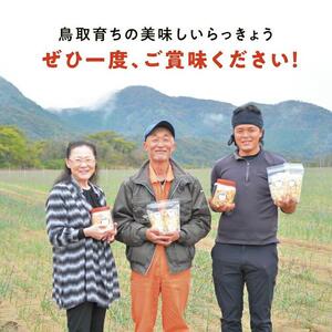 橋本さんちの砂丘らっきょう甘酢漬け 800g