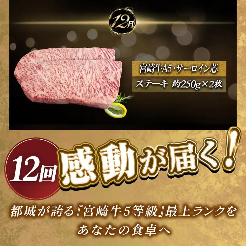特選(A5)宮崎牛の宝箱 (12ヶ月定期便)〔TAH12-0101〕_(都城市) 宮崎牛 5等級 12ヶ月定期便 サーロイン芯スライス モモスライス シャトーブリアンステーキ 特上モモステーキ ロース焼肉用 ヒレステーキ