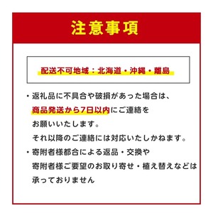 2026年1月中旬～発送【観葉植物】玉文(ぎょくぶん)マンゴー苗木 6号ポット 3～4年生苗木 前園植物園 IB002-021  観葉植物 ※北海道・沖縄・離島配送不可