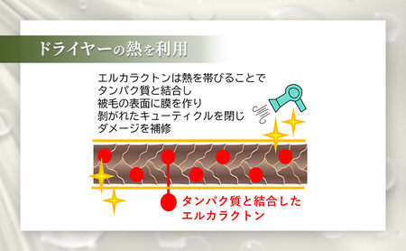 【犬用】リニューアル アーユルニームシャンプー 200ml・プロテインミスト 200ml セット 雑貨 日用品 ブラッシングスプレー 
