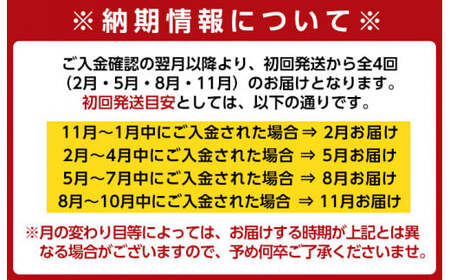 【全4回定期便】 (2月・5月・8月・11月) 訳あり 九州産 たけのこ水煮 200g×8P×4回 【マツバラ】 i536