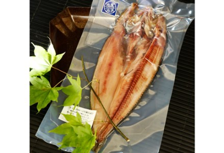 【北海道産】海鮮めぐりセット ふるさと納税 さんま 鮭 ほっけ F4F-0296