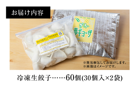 ぎふ絶品餃子 60個入 (30個入×2袋) 大容量 冷凍 国産野菜 国産素材 を使った ぎょうざ ギョウザ 豚 肉 玉ねぎ 岐阜県産 ビールにあうおつまみ お取り寄せグルメ 惣菜 人気 おすすめ 岐阜夢餃子製作所   [0318]