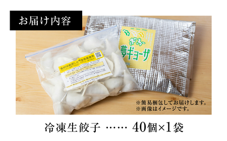 人気餃子3種を詰め合わせ！ぎふ夢餃子ミックス 40個」 冷凍餃子 食べ比べ メガ盛り 業務用 ぎょうざ ギョウザ 冷凍 グルメ お取り寄せ グルメ 冷凍食品 国産素材 ジューシー もちもち [mt1581] 8000円