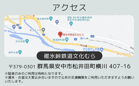 入園招待券3枚セット ANAE001