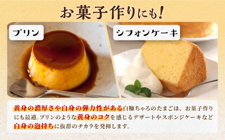 たかはしさんの新鮮たまご30個_I010-0533
