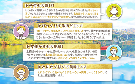 ＜2026年8月中旬よりお届け＞【朝採り】北海道壮瞥町 ホワイトコーン「ピュアホワイト」Lサイズ以上12本(約5kg) SBTQ003