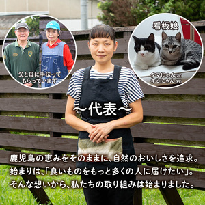 isa303 《毎月数量限定》手作りブルーベリージャム(計3個・各140g)加工食品 果物 フルーツ 詰め合わせ 果肉 ブルーベリー 低糖 ハンドメイド ジャム ギフト【薩摩美食倶楽部】