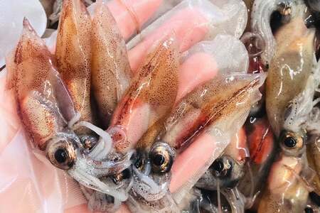 富山産 ホタルイカ 燻製 20g×3袋 [愛場商店 富山県 朝日町 34310476]