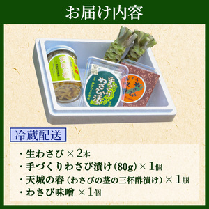 わさび セット 生わさび 2本 わさび漬け 1本 天城の春 三杯酢漬け 1瓶 わさび味噌 1個 詰め合わせ 伊豆 伊豆わさび食品直送 ワサビ 山葵 加工品 加工食品 薬味 調味料 冷蔵 冷蔵配送 静岡 静岡県 河津 河津町