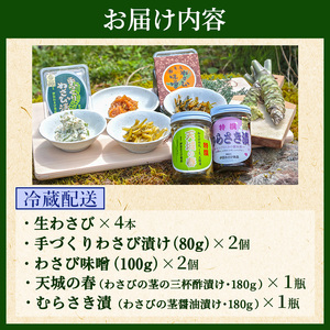 とれたて わさび セット 池 伊豆わさび食品直送 生わさび 4本 手作り わさび漬け 天城の春 三杯酢漬け わさびみそ むらさき漬 醤油漬け 伊豆 ワサビ 茎 加工品 加工食品 薬味 詰め合わせ 静岡 調味料
