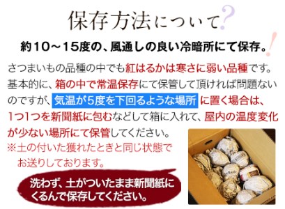 芋紅はるか約5kg有限会社ニシムラ 