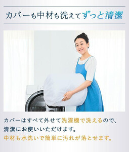 エアウィーヴ ポータブル mini エアウィーヴ